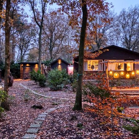 Lodge In Een Bosrijke Omgeving Met Hottub & Sauna Opt Rheezerveen Exteriör bild