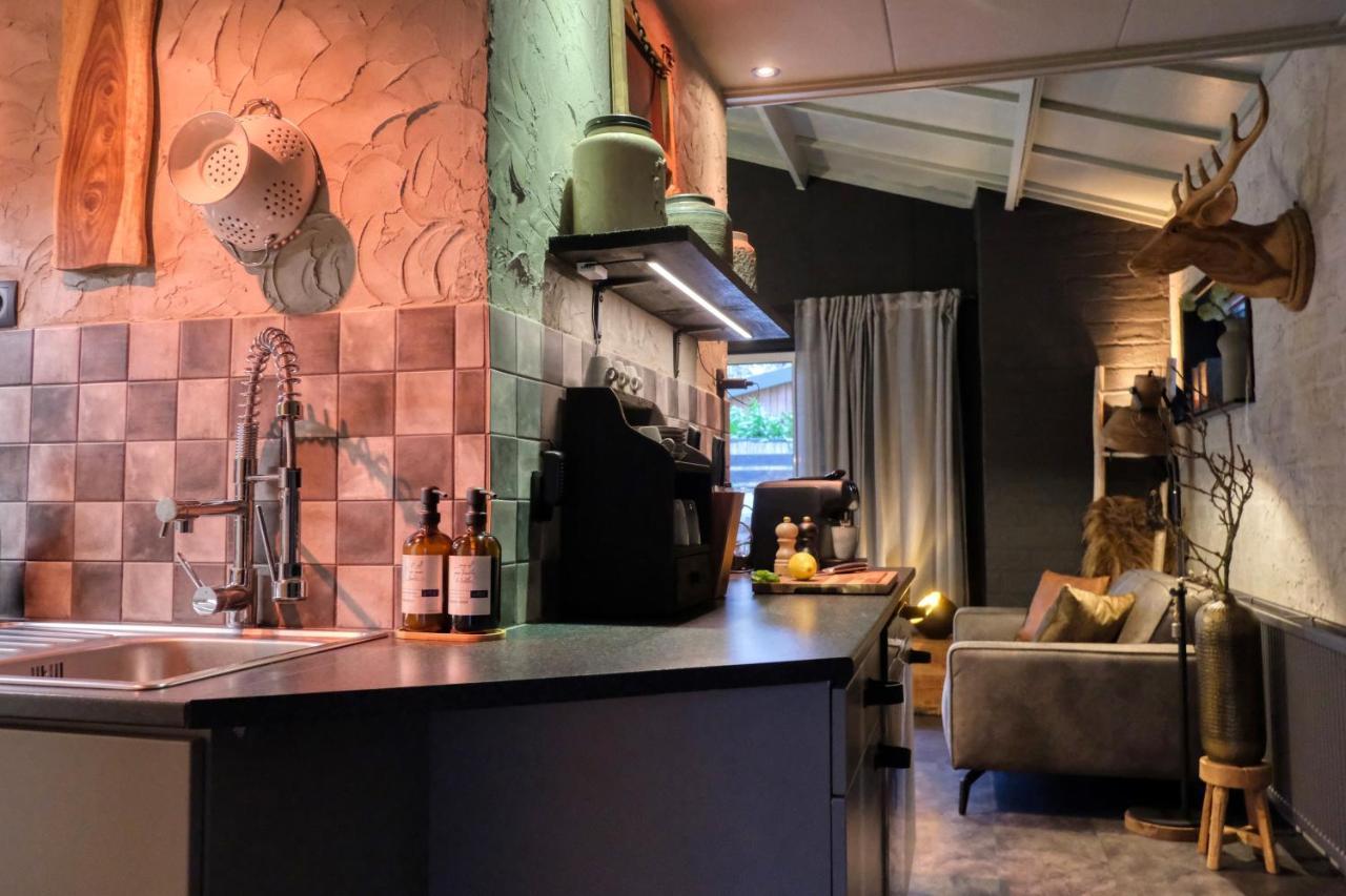 Lodge In Een Bosrijke Omgeving Met Hottub & Sauna Opt Rheezerveen Exteriör bild