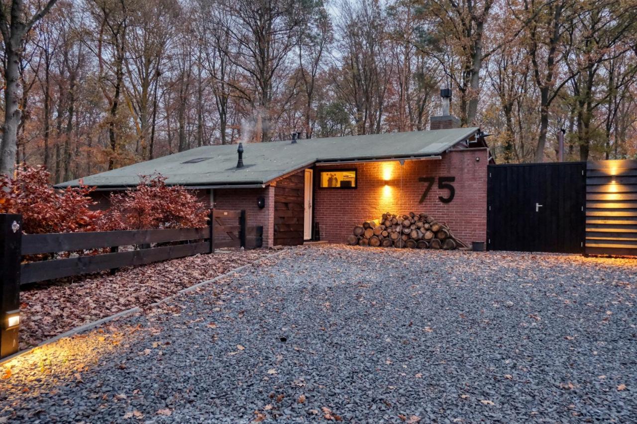 Lodge In Een Bosrijke Omgeving Met Hottub & Sauna Opt Rheezerveen Exteriör bild