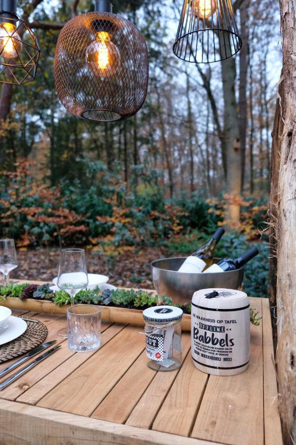 Lodge In Een Bosrijke Omgeving Met Hottub & Sauna Opt Rheezerveen Exteriör bild
